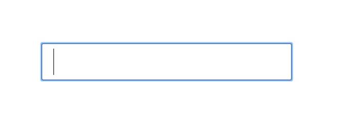 Screenshot of an input with focus, displaying a blue outline